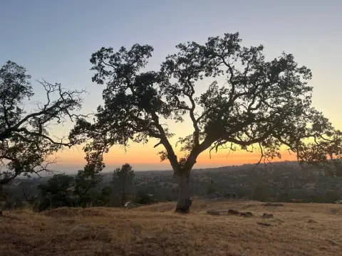 Coarsegold Land with Valley Views