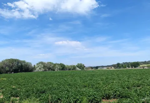 Fruitland Land with Development Potential