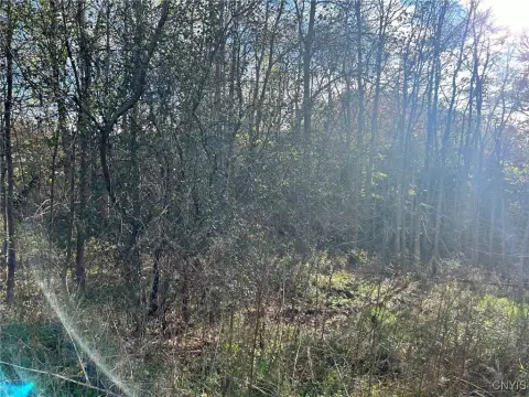 Wooded Land Near State Land