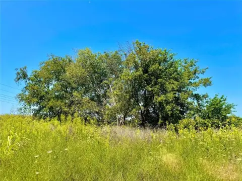Acreage Homesite in Nevada, TX