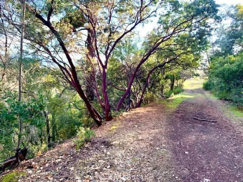 Land with Lake View Potential