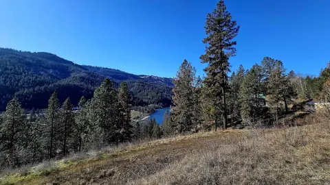 22.49 Acres with River Views