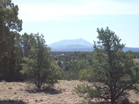 3.56 Acres in Williams, AZ