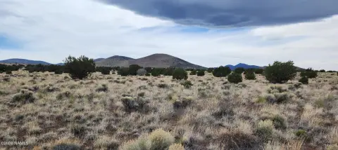Treed 10-Acre Parcel in Flagstaff