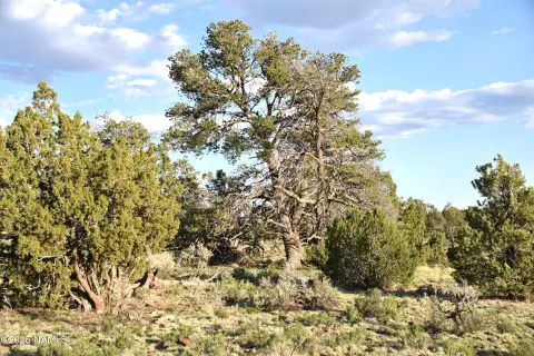 36-Acre Parcel Near Grand Canyon