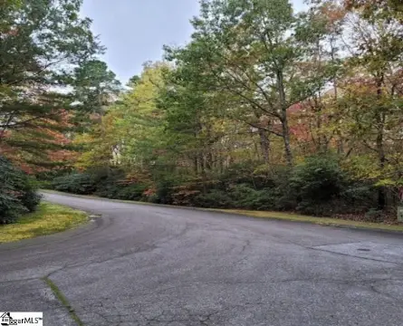 Residential Lot in Cliff Ridge