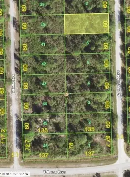 PUNTA GORDA Land For Sale