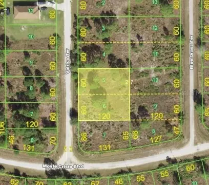 Residential Land in Punta Gorda