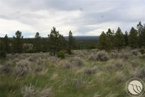 20 Acres Near Yellowstone River