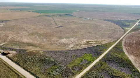 Irrigated Agricultural Land