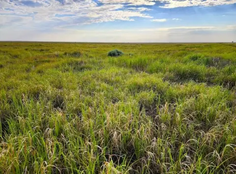 Agricultural Land with CRP Enrollment