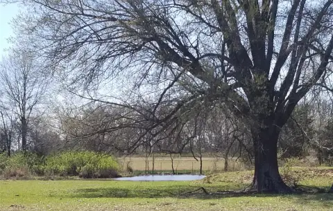 Agricultural Land with Pond