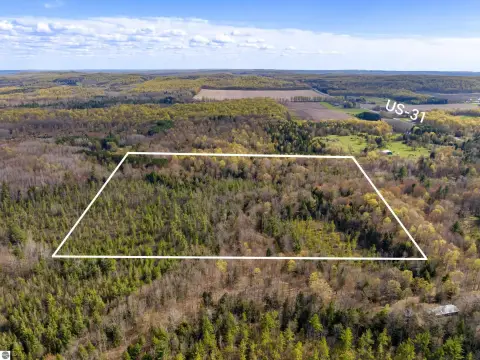Wooded Hunting Land