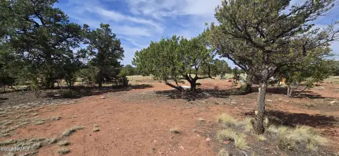 Two Acre Lots Near Grand Canyon