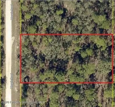 Residential Lot in Brooksville