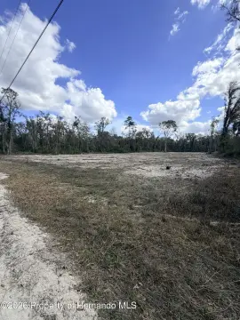 Partially Cleared Land Parcel