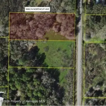 Residential Homesite with Mature Trees