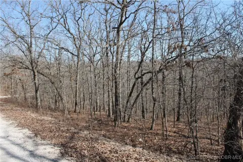 Land in Forbes Lake Community