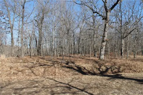 Edwards, MO 3-Acre Retreat