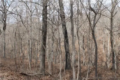 Residential Lot in Gated Community