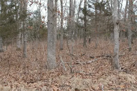 Edwards, MO 2.65-Acre Retreat