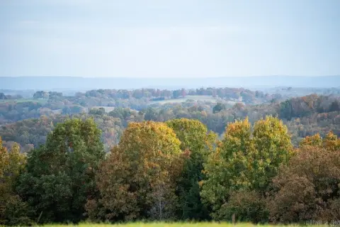 Wooded Acreage Near Table Rock