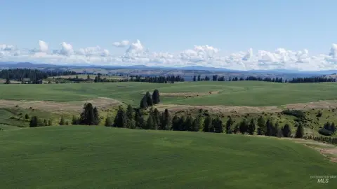 Farmable Land on Camas Prairie