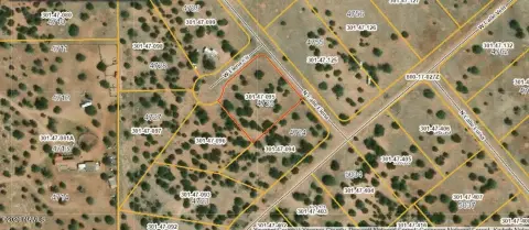 Seligman, AZ Treed Lot
