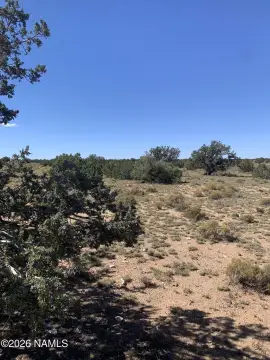 Land in Williams, Arizona
