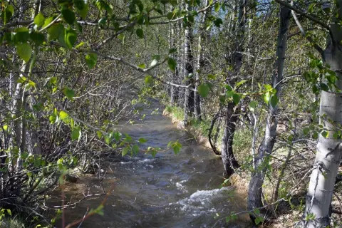 Red Lodge Mountain View Homesite
