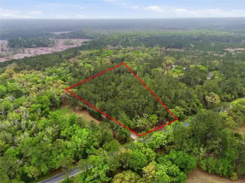 Gainesville Land Ready to Build