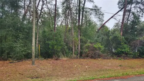 Wooded Lot Near Silver Springs