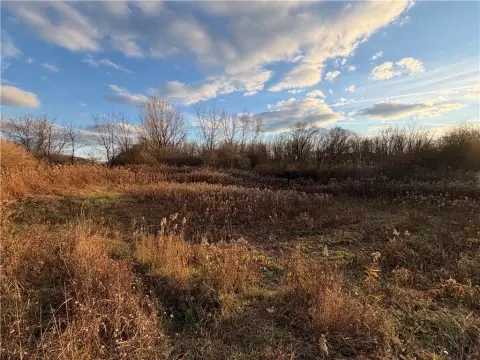 Wooded Land Parcel in Victor