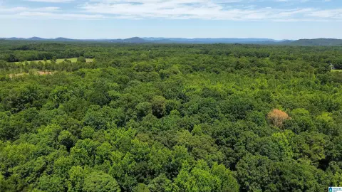 6.3 Acres on Highway 280