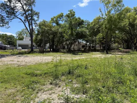 Residential Lot in East Tampa