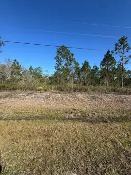 Residential Land in Naylor, GA
