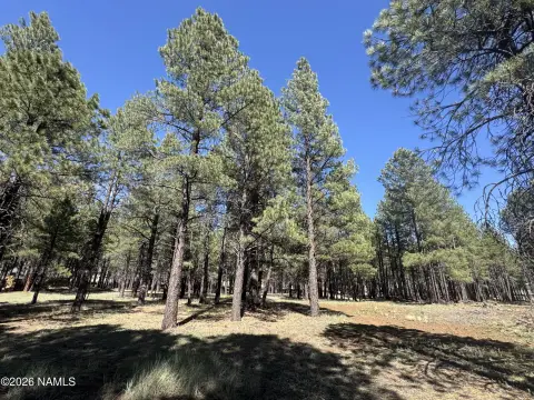 Flagstaff Land with Mountain Views