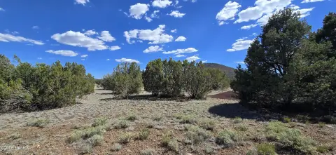 Level Homesite in Gated Ranch