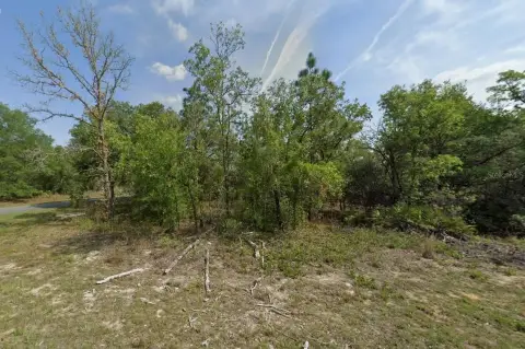 Residential Lot in Citrus Springs