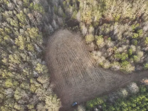 West Point Hunting and Timber