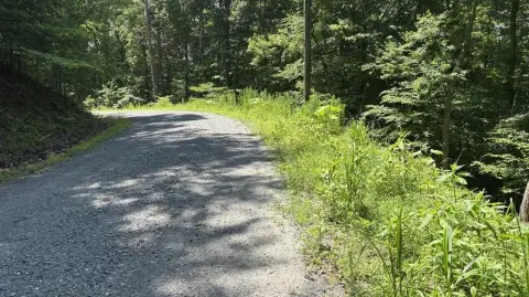 Vacant Mountain Home Lot