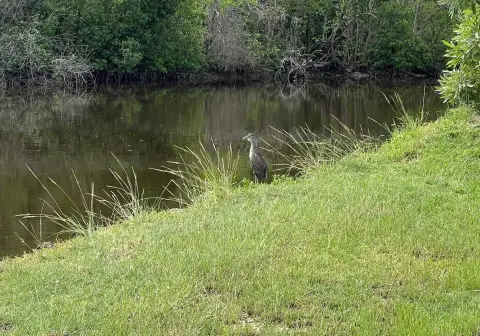 Waterfront Land with Boat Ramp