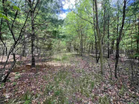 Wooded Land with Creek Frontage