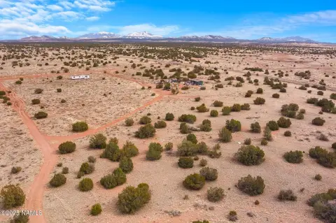 Treed Acre Lot Near Highway