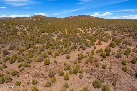 Treelined Land with Panoramic Views