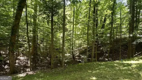 Berkeley Lake Redevelopment Opportunity