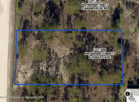 Land Parcel in Weeki Wachee