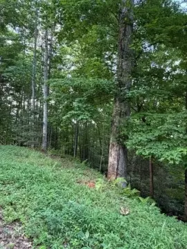 Lakefront Land Parcel