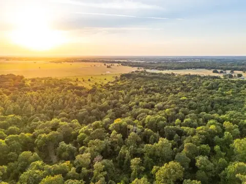 Timbered Hunting Land