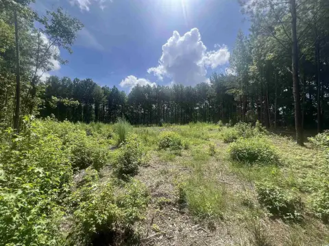 Ready-to-Build Lot in Loris